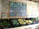 Picadilly Shares